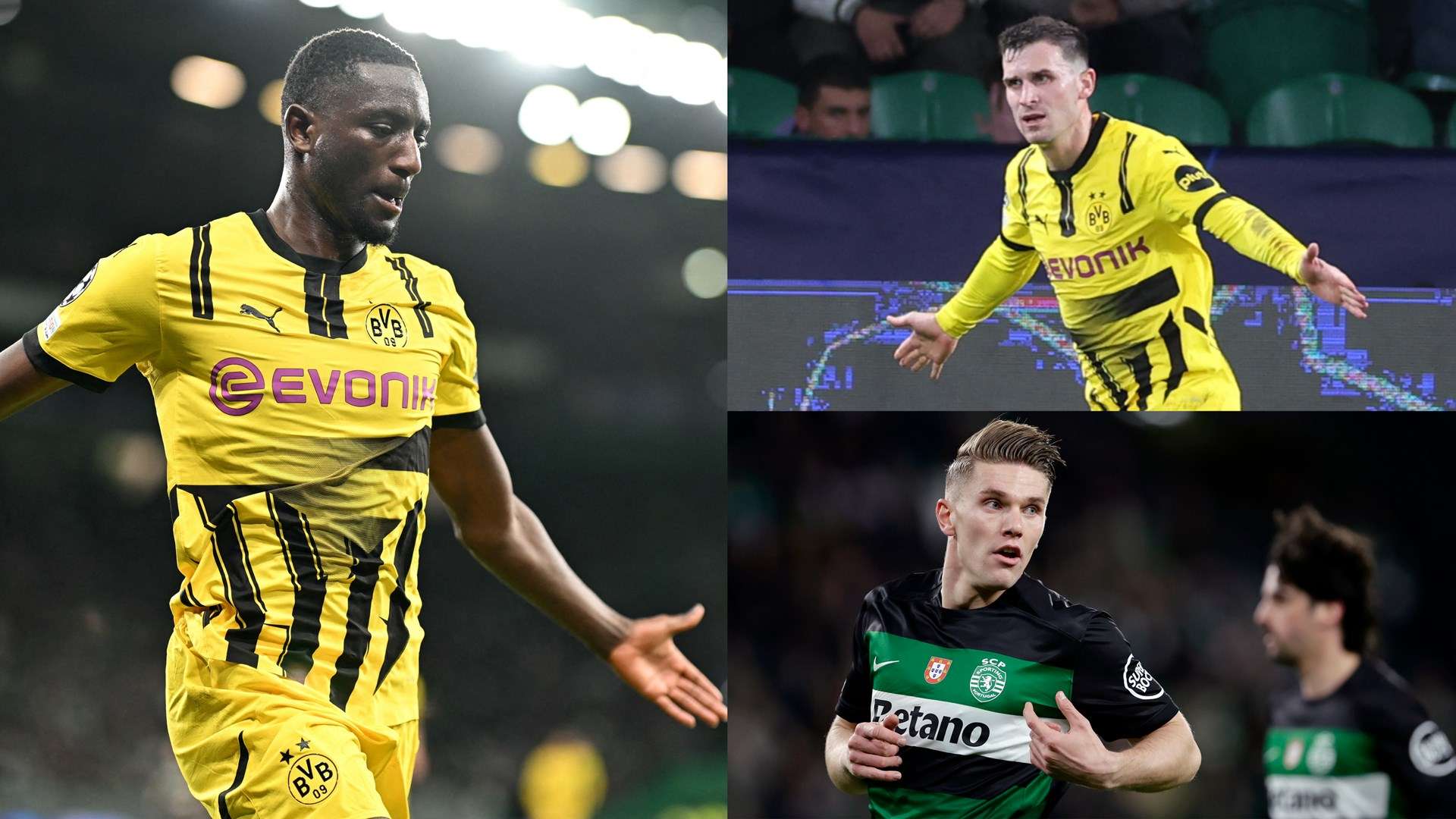 地適應新的 地適應新的